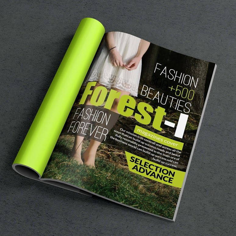 Magazines